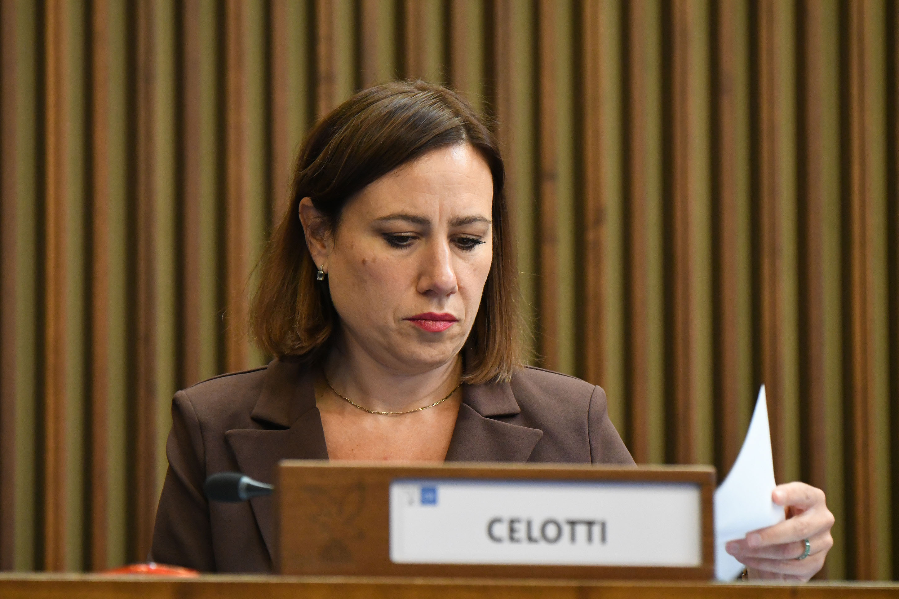 OMNIBUS. CELOTTI-POZZO (PD): SU BANDO STUFE CORREZIONE SOLO A METÀ